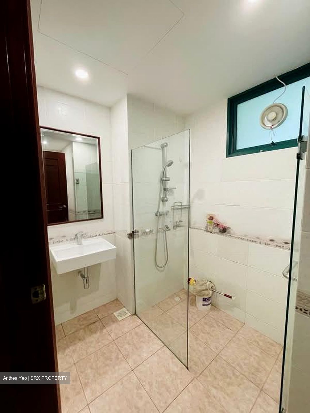 The Hillside (D21), Condominium #580816421